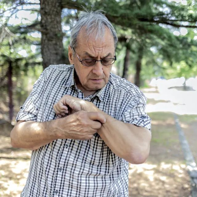 الدروة والأعشاب