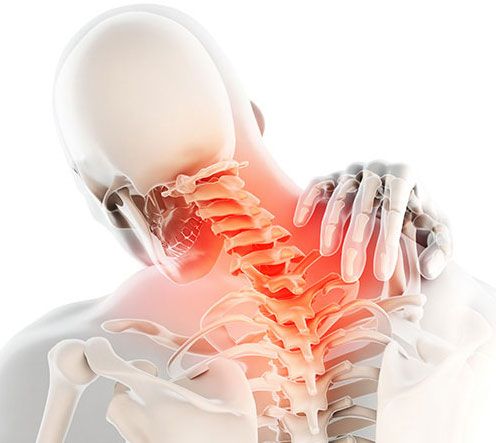 الدروة والأعشاب – باقة الشهر مكونة من 6 قطع